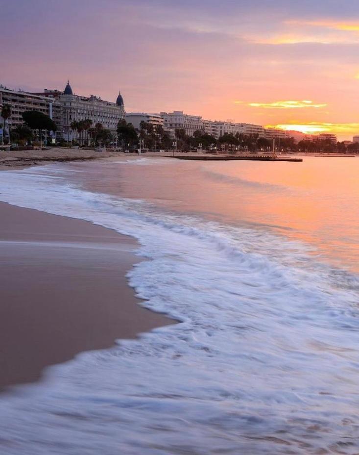 Superbe Studio Proche Palais Et Plages A Pieds Кан Екстериор снимка